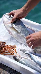 Fresh Seafood